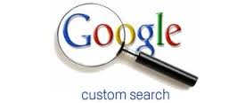 Google custom search option